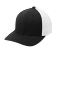 Mesh Back Cap